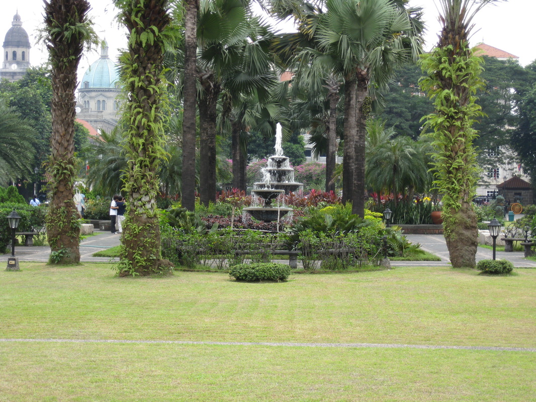Picture