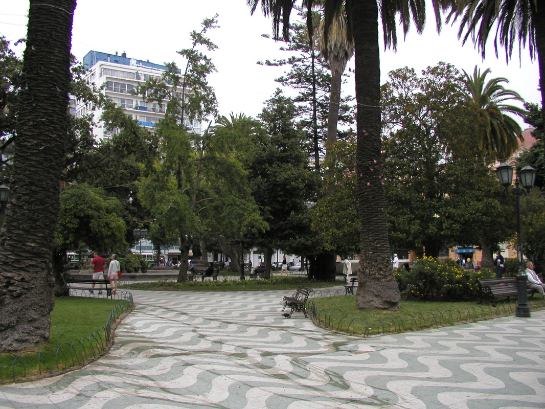 Picture
