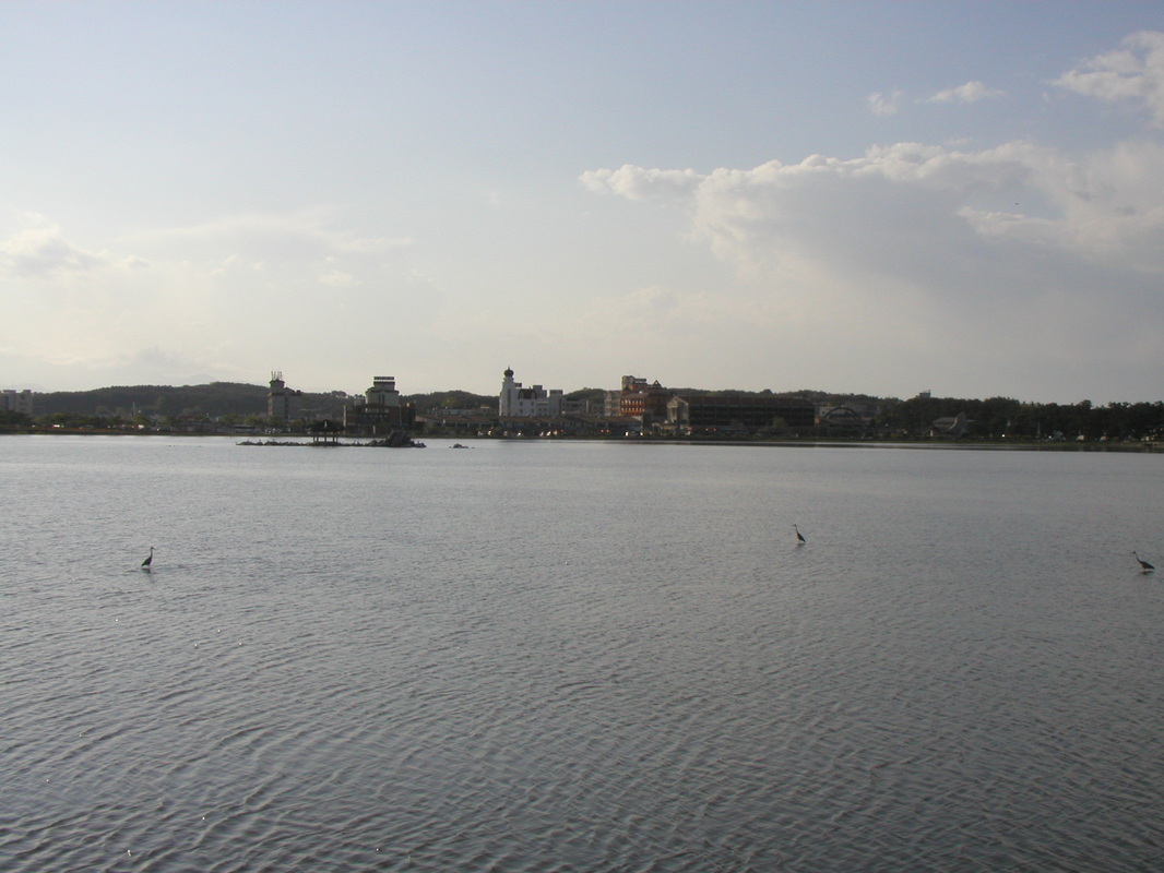 Picture